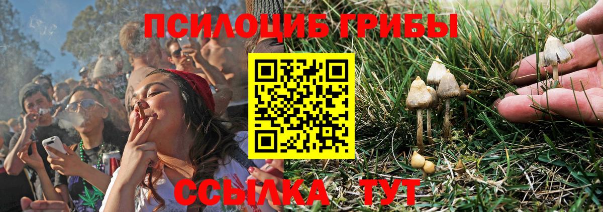 Галлюциногенные грибы мицелий Богородск