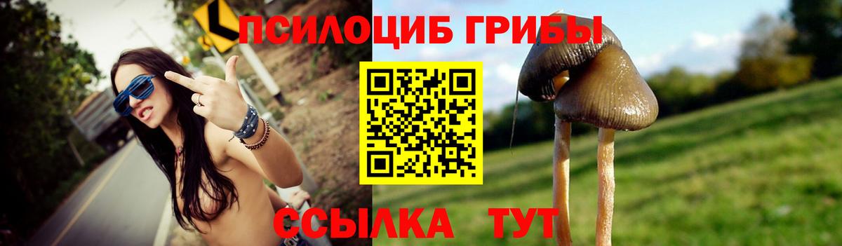 Галлюциногенные грибы мицелий  Псилоцибиновые грибы мухоморы  Богородск  Вход с VPN 